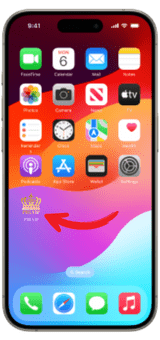 PHLVIP Casino Download iOS App 4